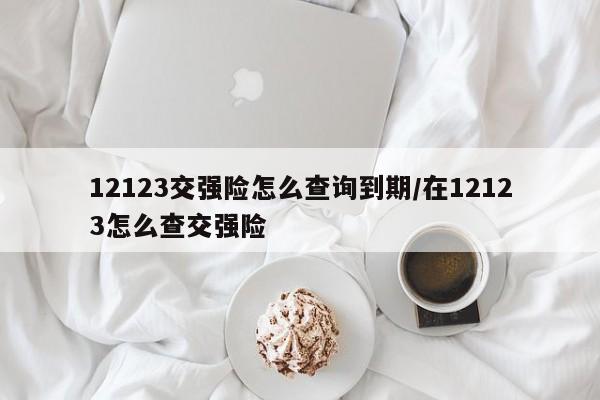 12123交强险怎么查询到期/在12123怎么查交强险