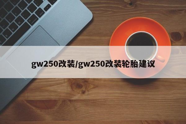 gw250改装/gw250改装轮胎建议